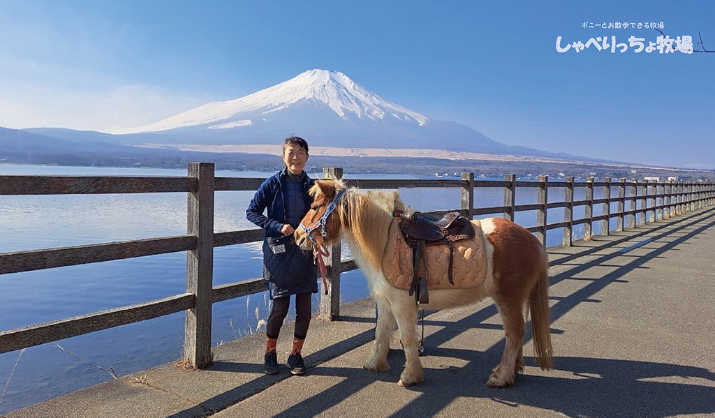 アルファ、山中湖で富士山と白鳥をみる