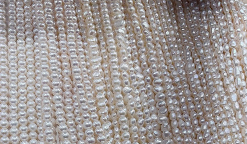 氏より育ち？　いや、氏も育ちも。