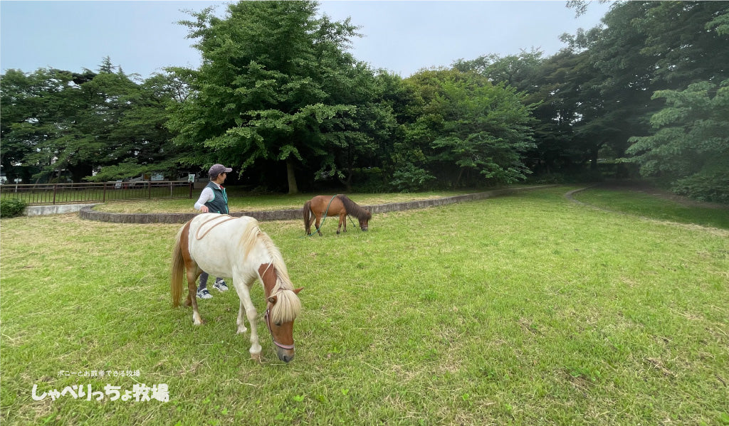 桜ヶ丘公園とゆうひの丘