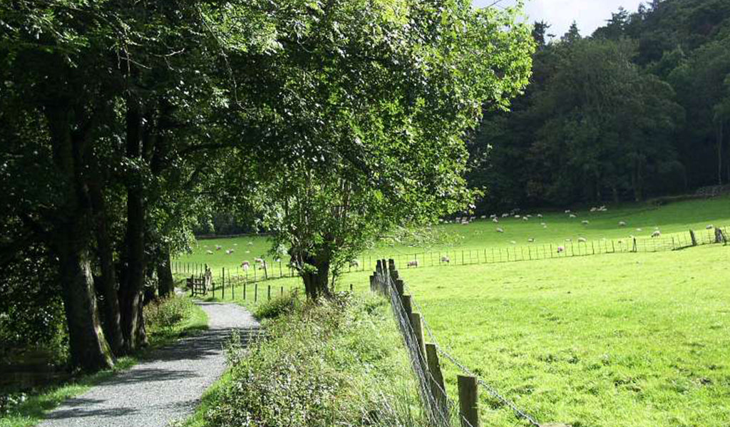 英国の道は楽しい。ＦＯＯＴ　ＰＡＴＨ、そしてＲＯＵＮＤ　ＡＢＯＵＴ - POLO BCS（ポロ・ビーシーエス）