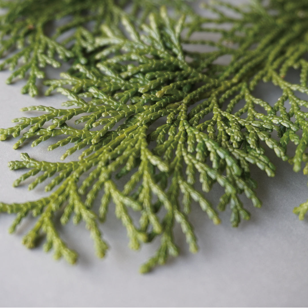 【POLO WOOD】エッセンシャルオイル　吉野ひのき　10ml